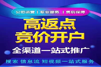 行业领先企业的SEM开户成功案例